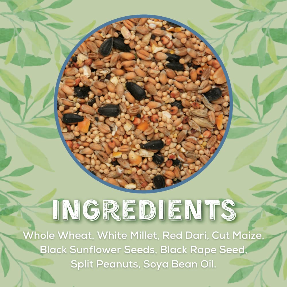 Copdock Mill Wild Bird Seed & Grain Mix 3.8 kg/5L Tub – All Year-Round High-Energy Wild Bird Food – 100% Natural Ingredients Including Sunflower Seeds and Peanuts - 3