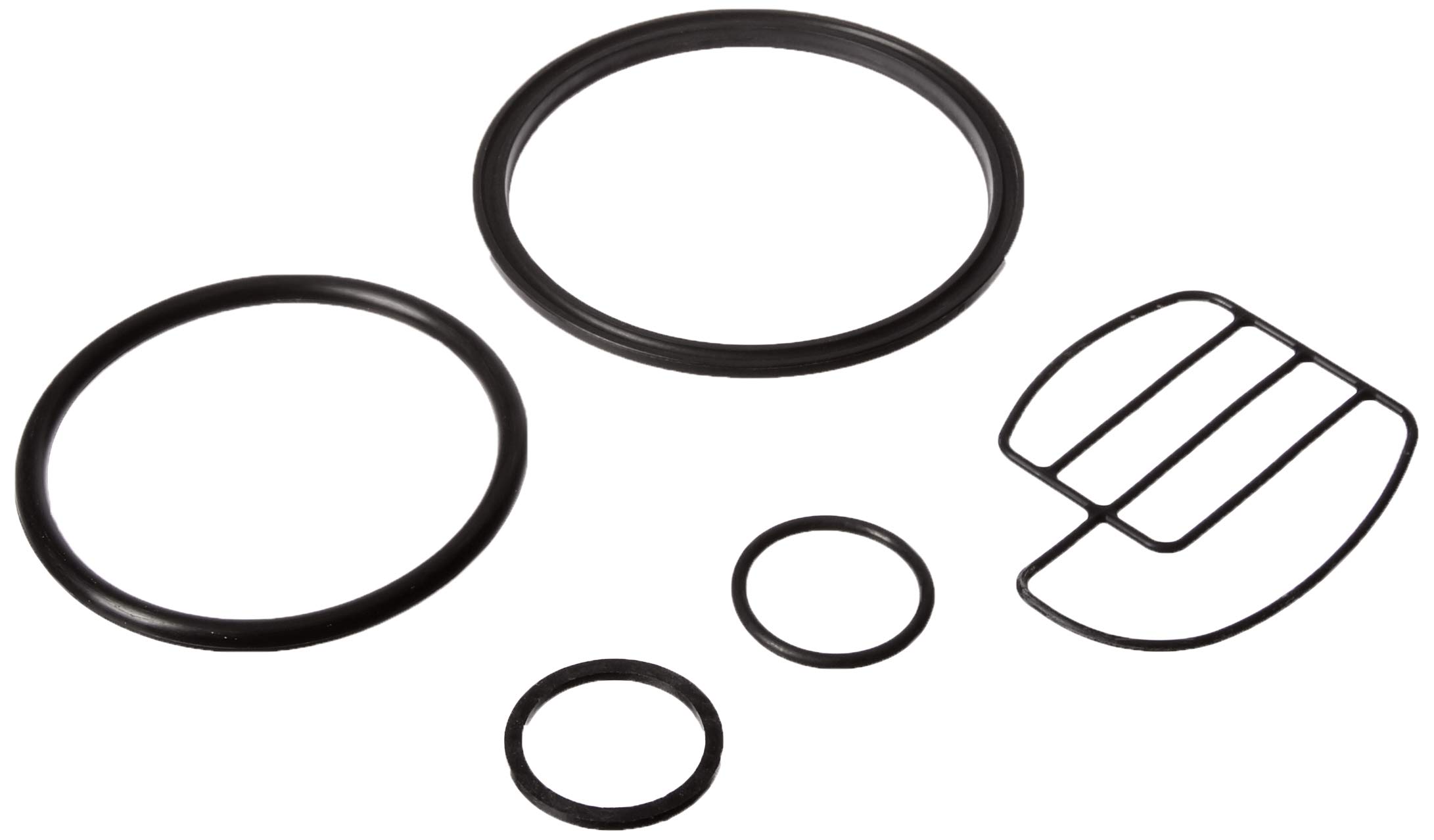 Leak Repair Kit for Fleck 2510 and 2510SXT Control Valves