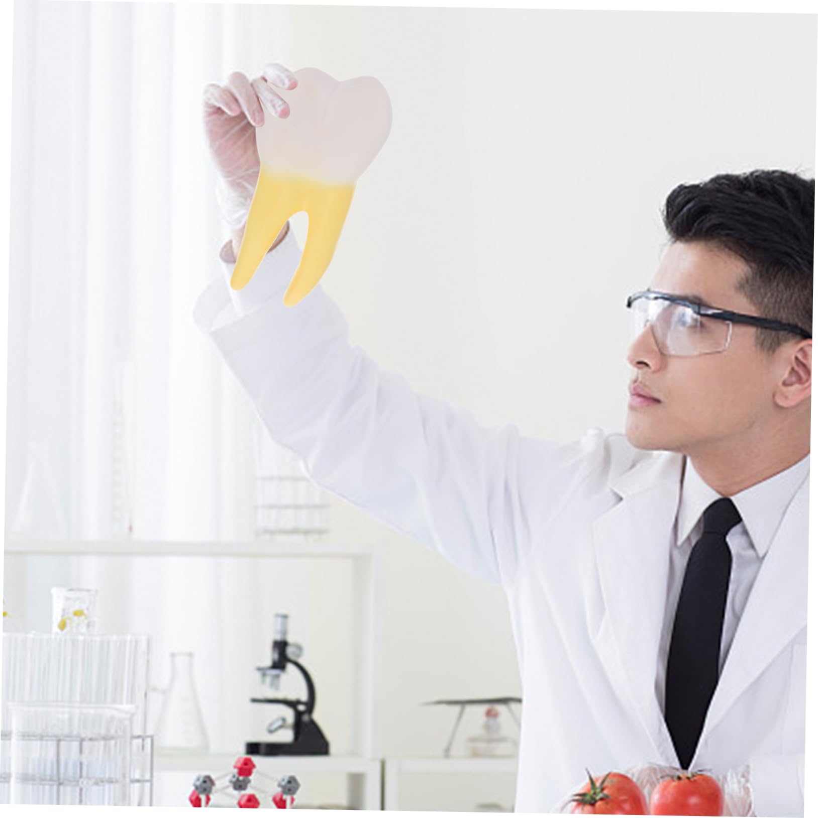 Modello Molare Anatomico in Pvc per Dimostrazione Dentale | Giallo, Leggero, Realistico, per Cliniche Odontoiatriche e Insegnamento