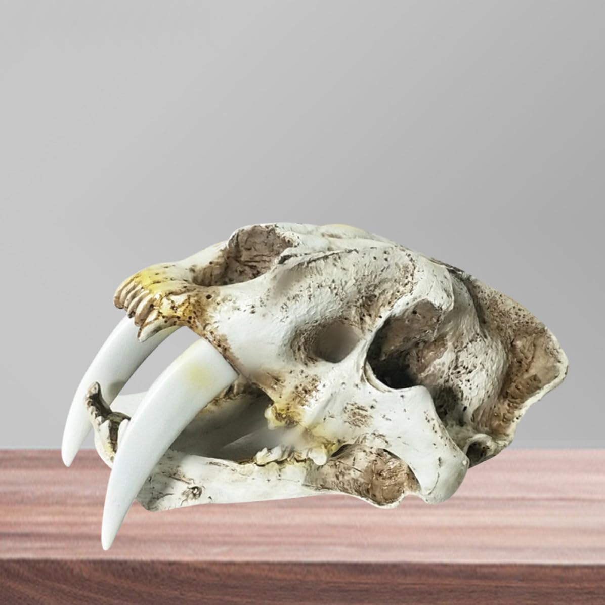 Säbelzahntiger Totenkopf Ornamente aus Kunstharz, Halloween Geschenkideen