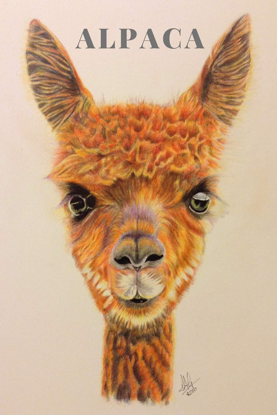 Alpaca Notebook: Alpaca gifts for under 6 pound | Gift for Alpaca and Llama lovers, women and girls | Lined notebook/journal