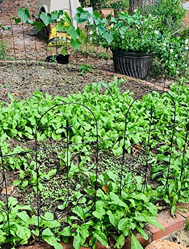 Mtb Black Decorative Garden Border Fence 32 In (H) X 20 Ft(L), Decorative Folding Wire Fencing Border Edge Garden Fence Animal Barrier #TOP4