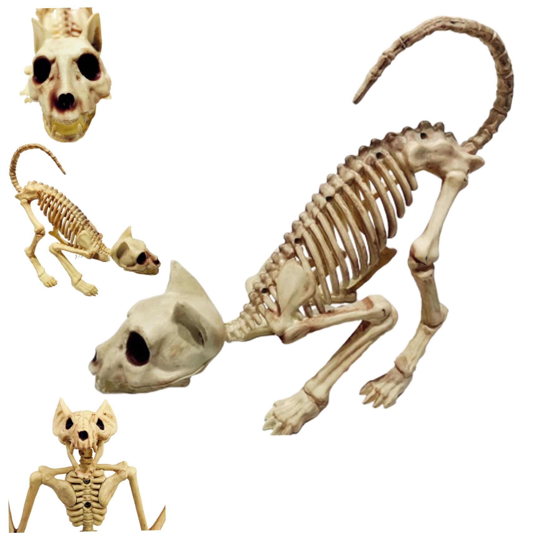 Whyzsjnclg Halloween Bones Ornament Cat Skeleton Scary Model Creepy Animal Skull Decoration for Halloween