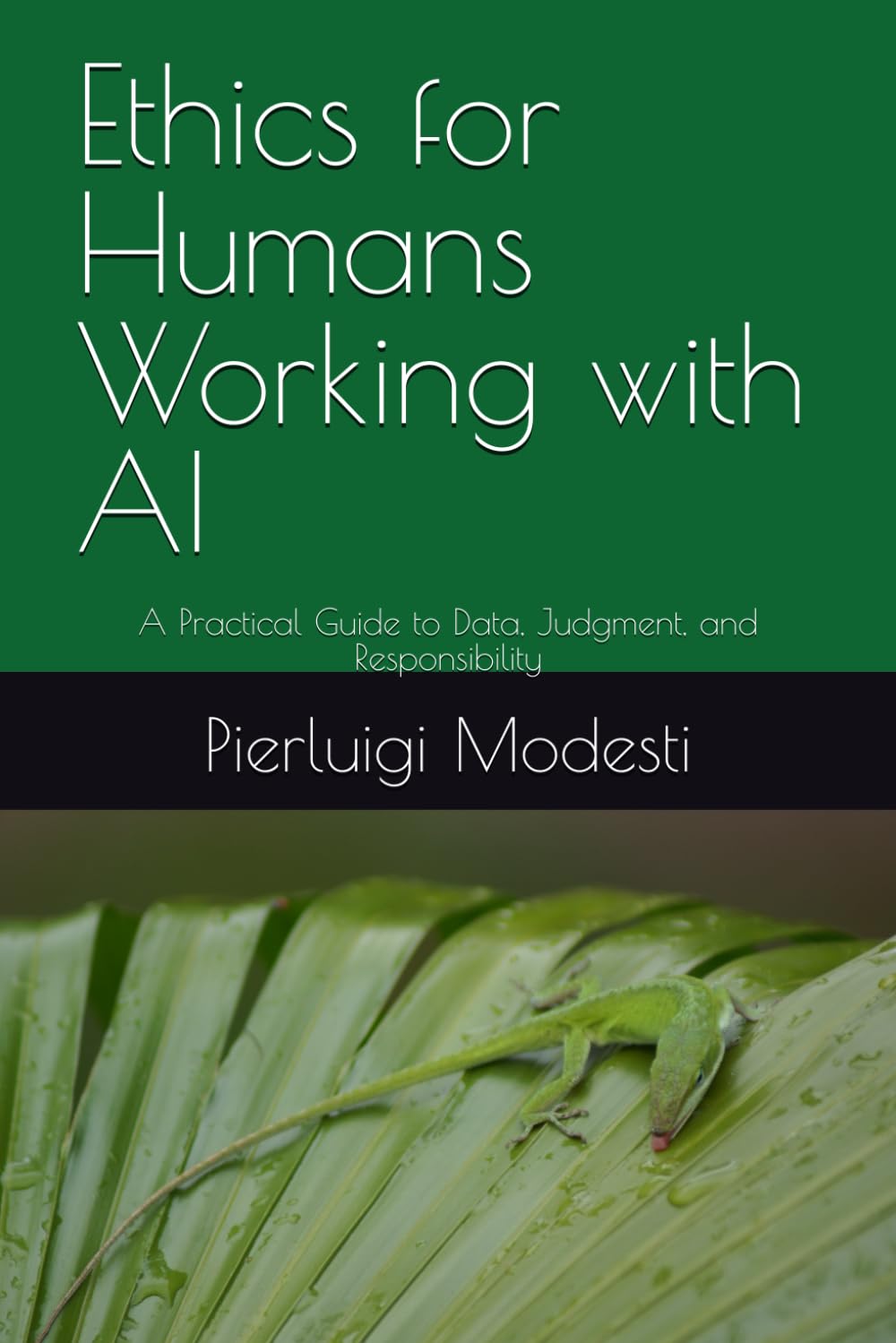 Ethics for Humans Working with AI: A Practical Guide to Data, Judgment, and Responsibility (Responsible Data & AI Series)