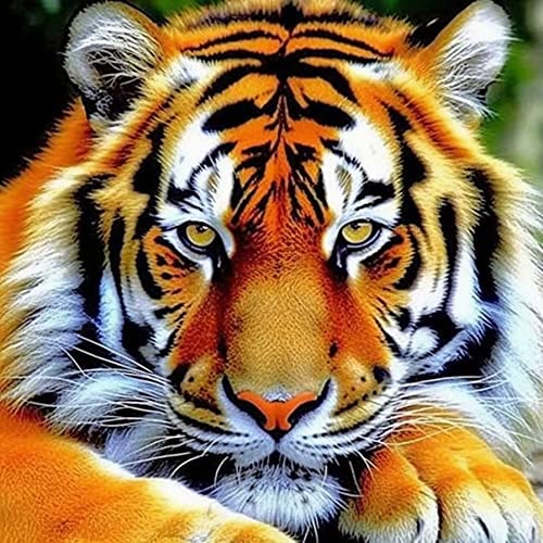 LOMSIOY 5D Diamond Painting Kit Tigre Completo Fai da Te Pittura Diamante Painting Animali, Strass Ricamo Craft Arts per Adulti Decorazione per Casa e Pareti 30x30 cm A