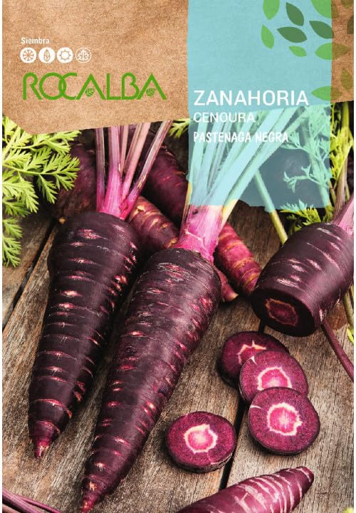 Semillas Zanahoria Pastenaga Negra