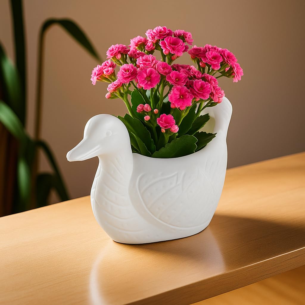 Kuber Industries Plastic Duck Shape Small Plant Pot for Home Decor and Office Desk | Decorative Table Flower Pot for Living Room | Planters Garden Decoration Items | White