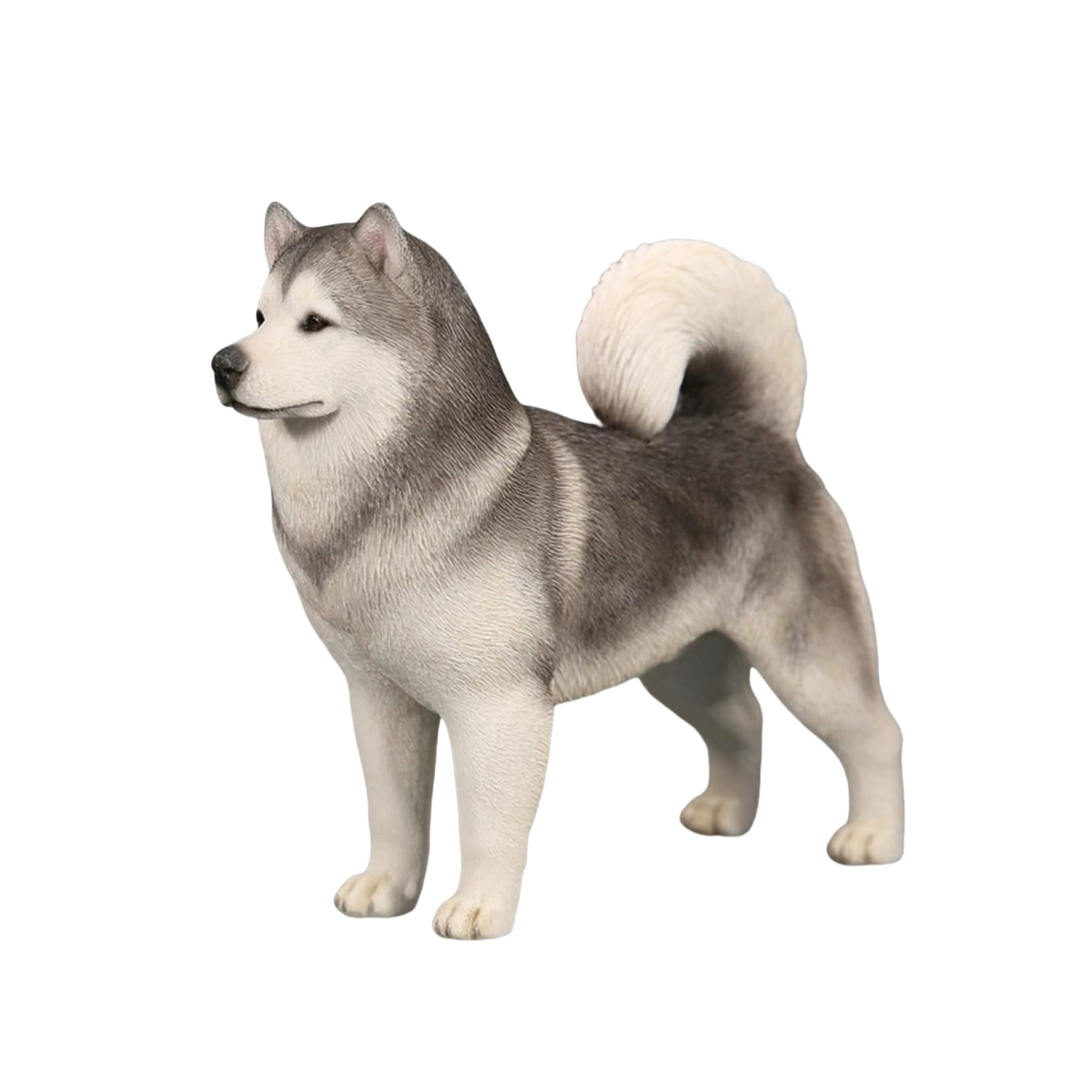 Amazon.co.jp: 1/6 サイズ アラスカン・マラミュート 可愛い 犬 動物