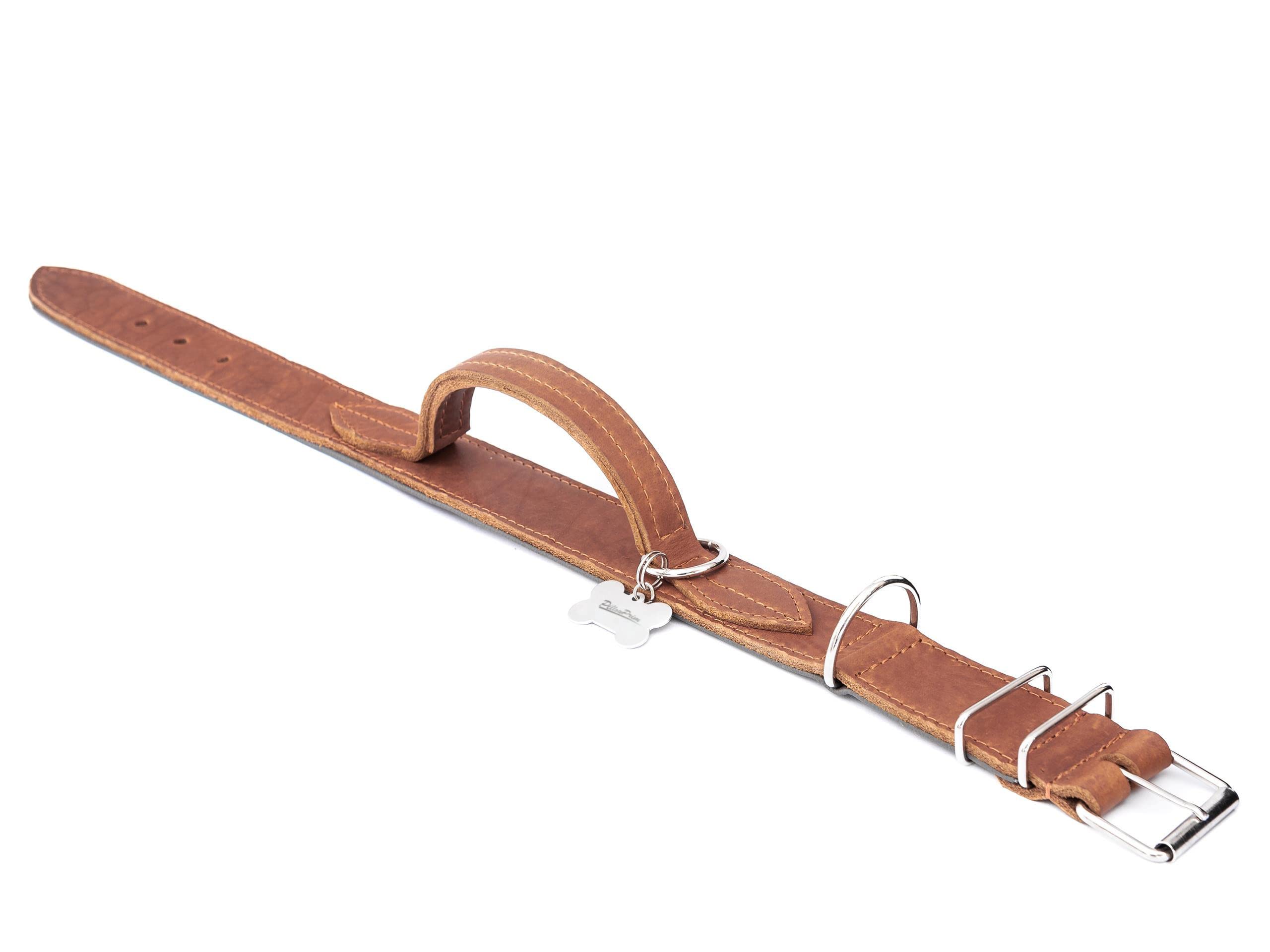 Collier pour chien en cuir avec boucle en métal Marron clair 60 cm