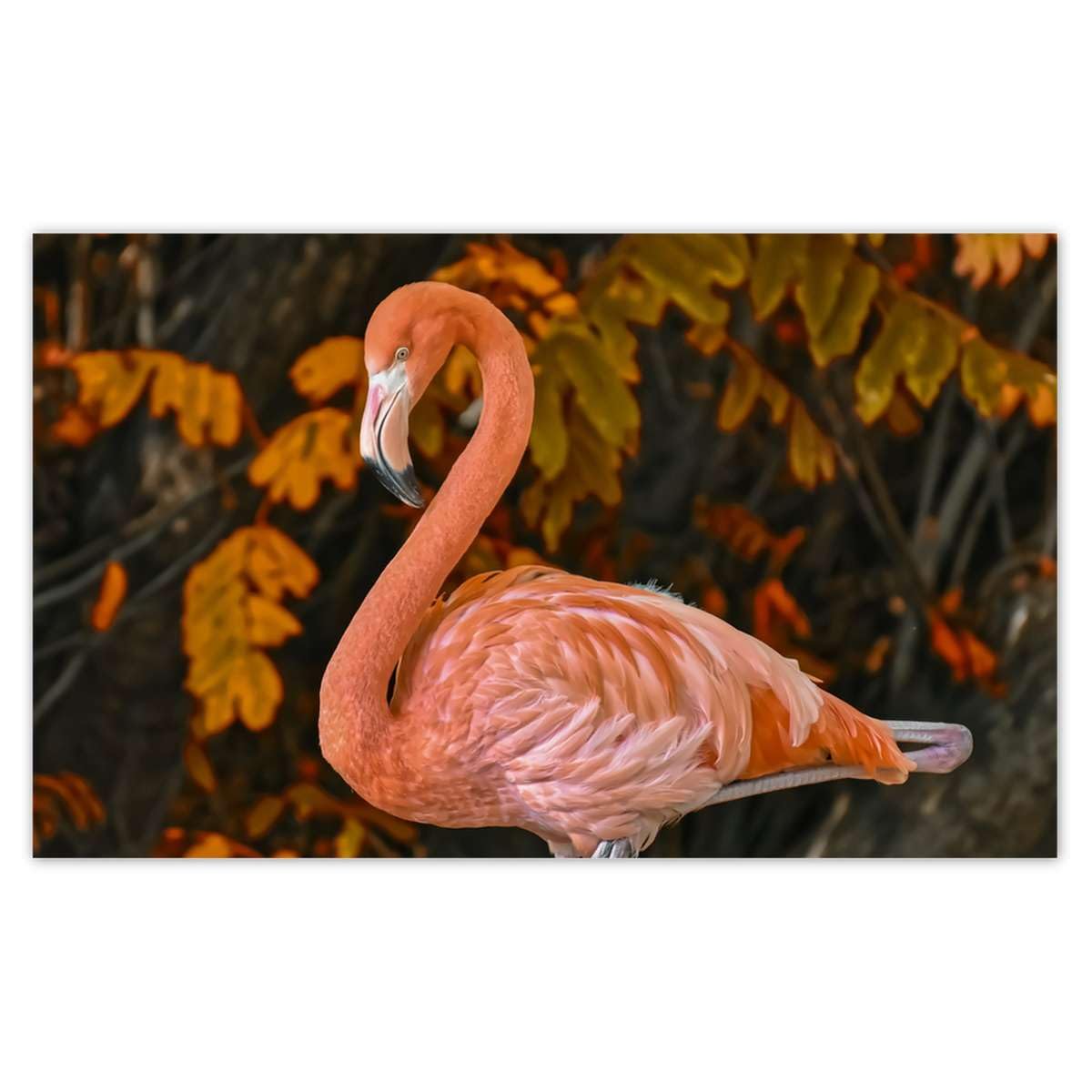 Papier peint non-tissé flamant rose pour créer une ambiance évasion dans un salon moderne