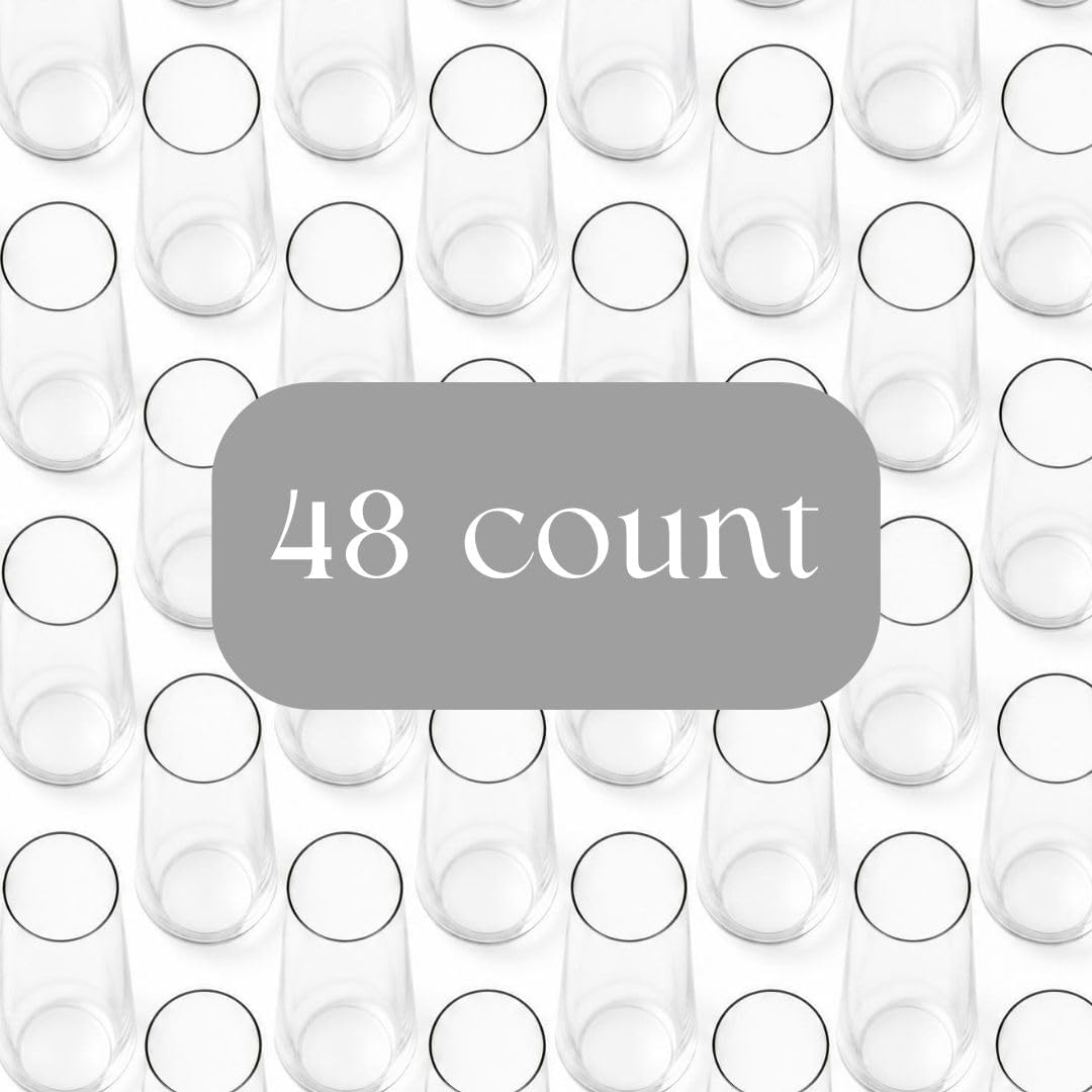 48 Plastic Champagne Flutes 9 Oz Stemless Clear Disposable Toasting