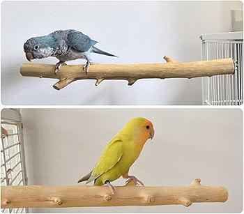 小型鳥用木製スタンド おやつボール付き*6 Amazon.co.jp: 長さ6.1