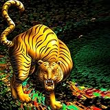  Tiger is Coming
