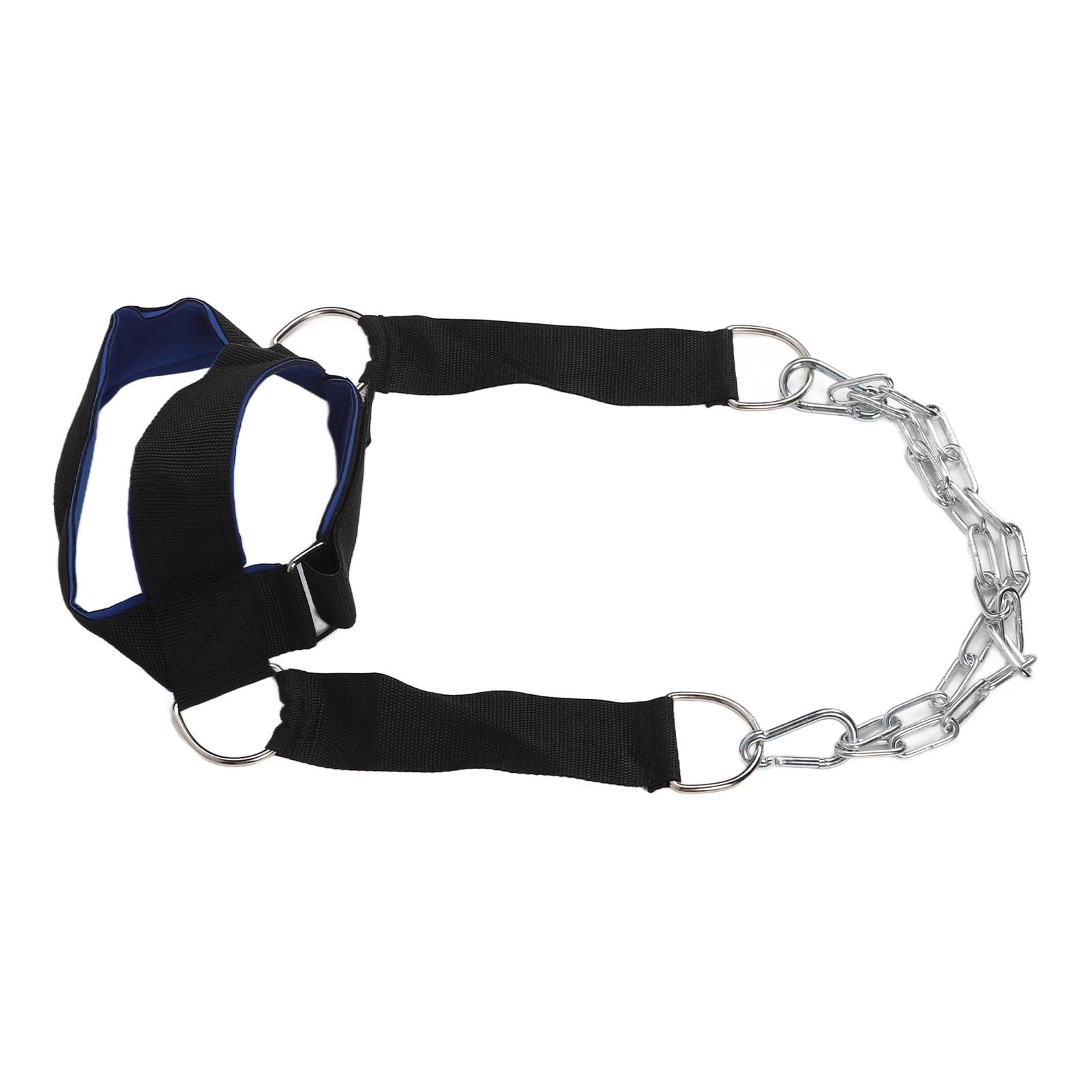 Arnés para el Cuello - Aumenta la Fuerza Central, Apoya la Recuperación de Lesiones - para Gimnasio en Casa - Azul Negro