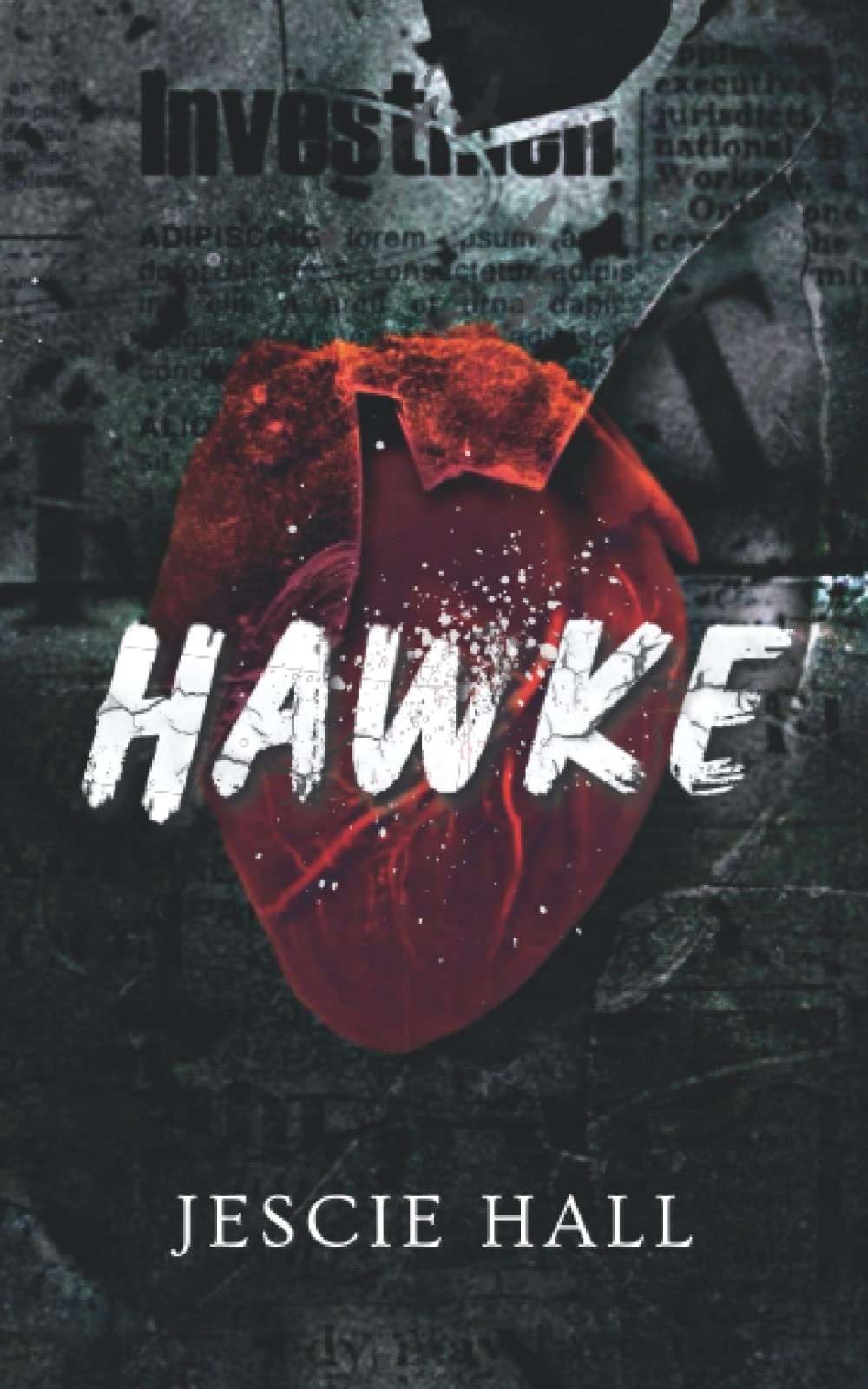 HAWKE Paperback – November 8, 2022 Paperback – 1 January 2022