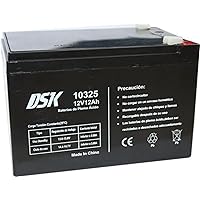 DSK Batteria al piombo 12V 12Ah, ideale per allarmi domestici
