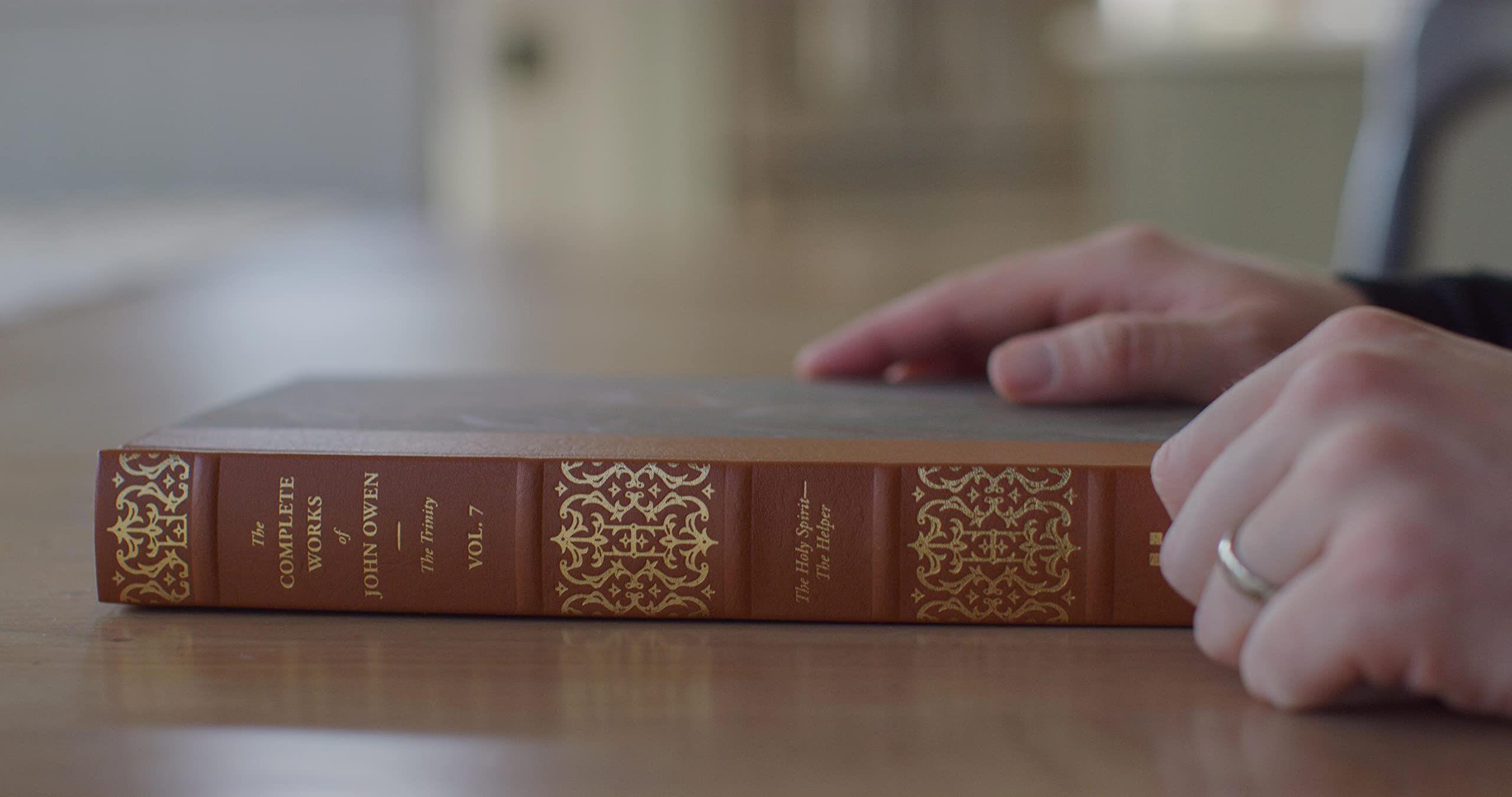 The Holy Spirit--The Helper (Volume 7) (The Complete Works of John Owen) - Image 4