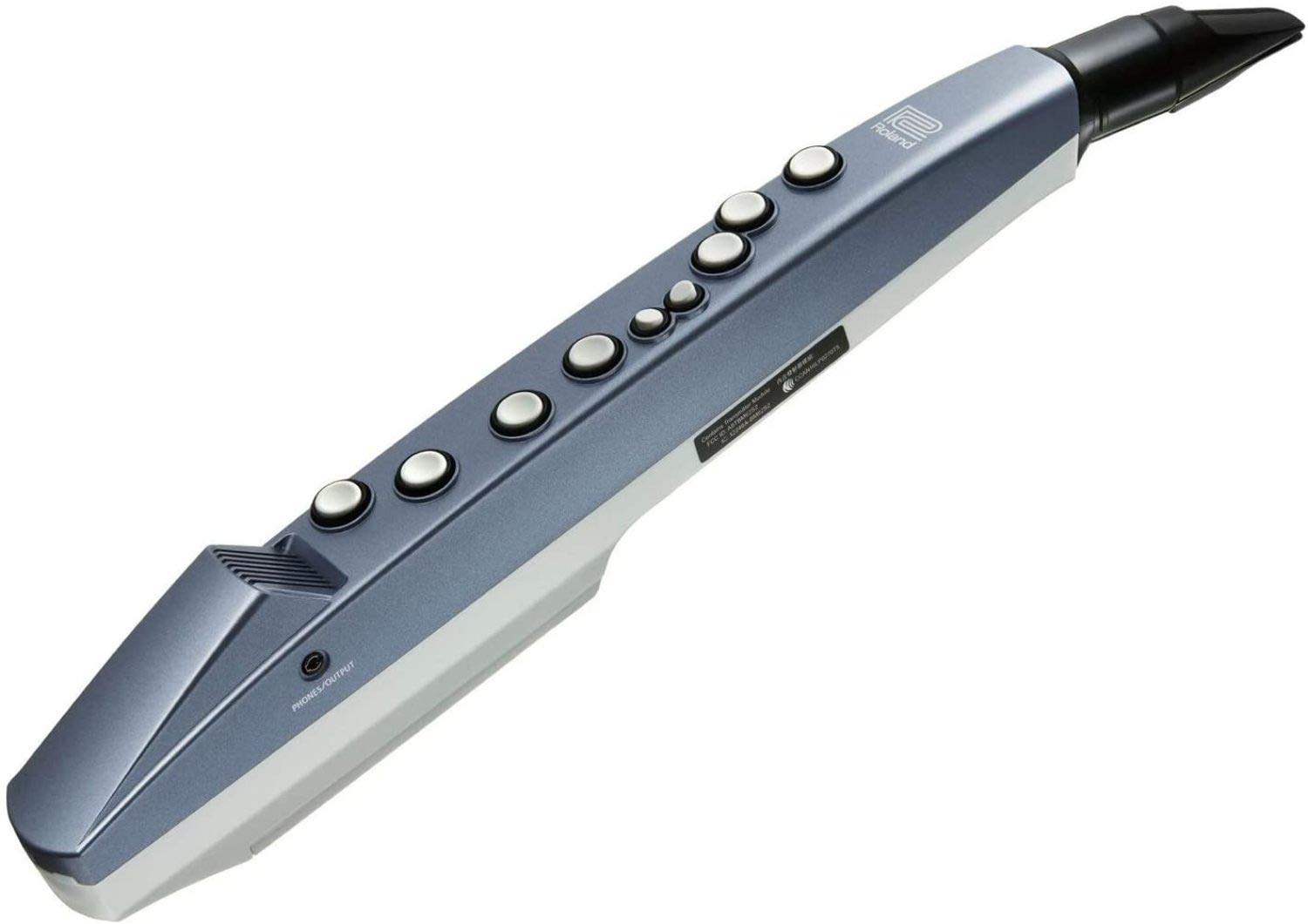 Roland AE-01 Aerophone Mini Digital Wind Instrument : Amazon.in 