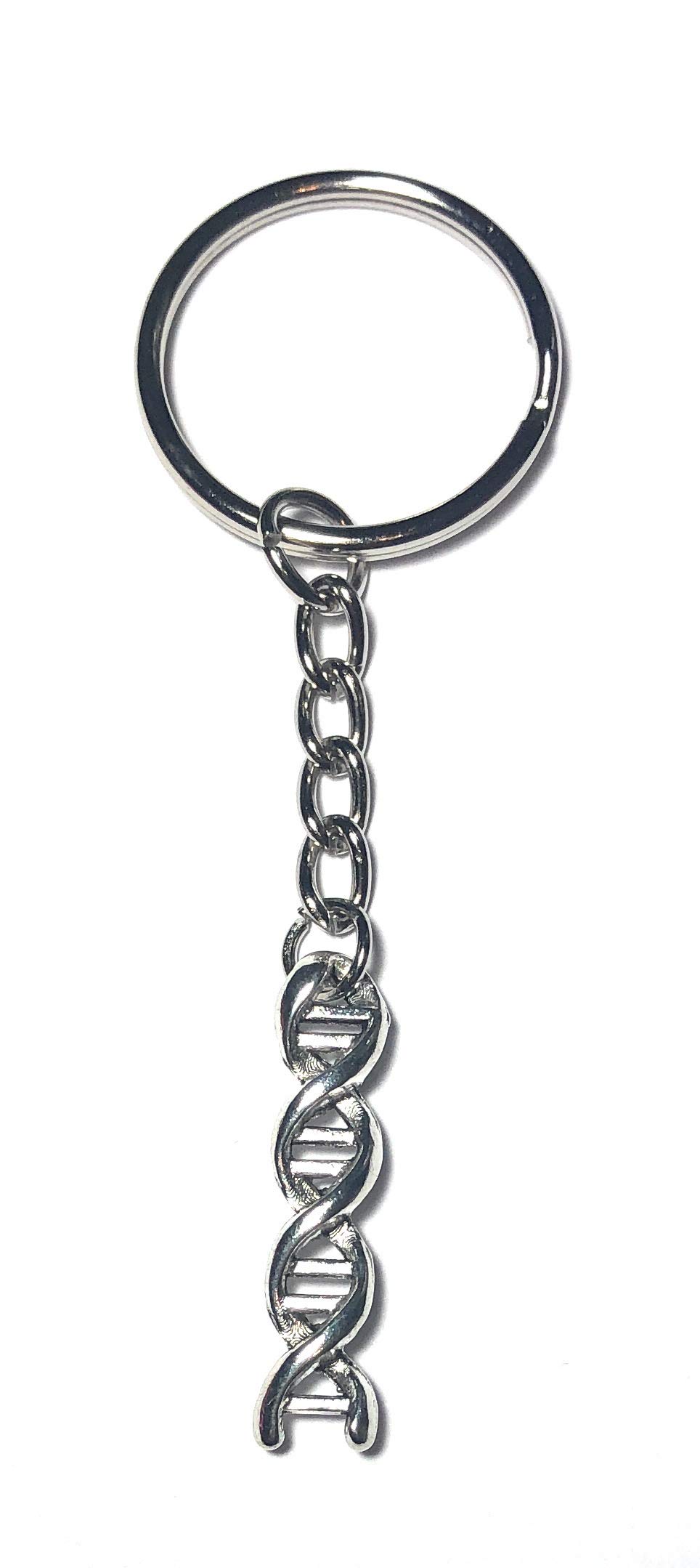 FizzyButton Gifts DNA Charm Keyring Key Ring with Silver Tone Keychain