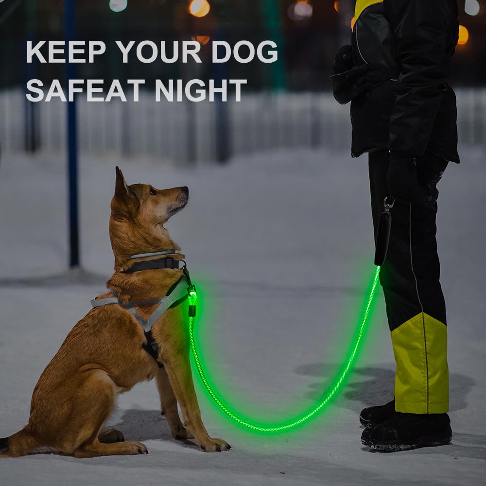 Guinzaglio LED per cani, ricaricabile tramite USB, colorato, 1,5 m
