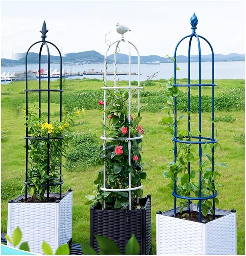 Treillis Pour Plantes En Pot | Treillis D'obélisque De Jardin Pour