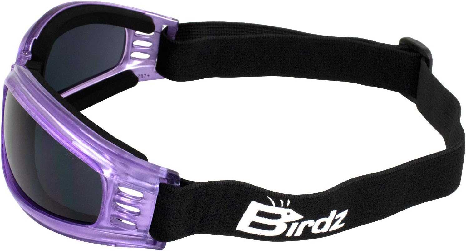 Birdz 2 Pairs of Eyewear Cardinal Women's Purple Padded Motorcycle Goggles with Super Dark & Clear Lenses - Image 5