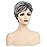 SEVENCOLORS Short Grey Wigs for Women Gray White Pixie Cut Wigs with Dark Root Layered Synthetic Short Hair Wigs Natural Looking