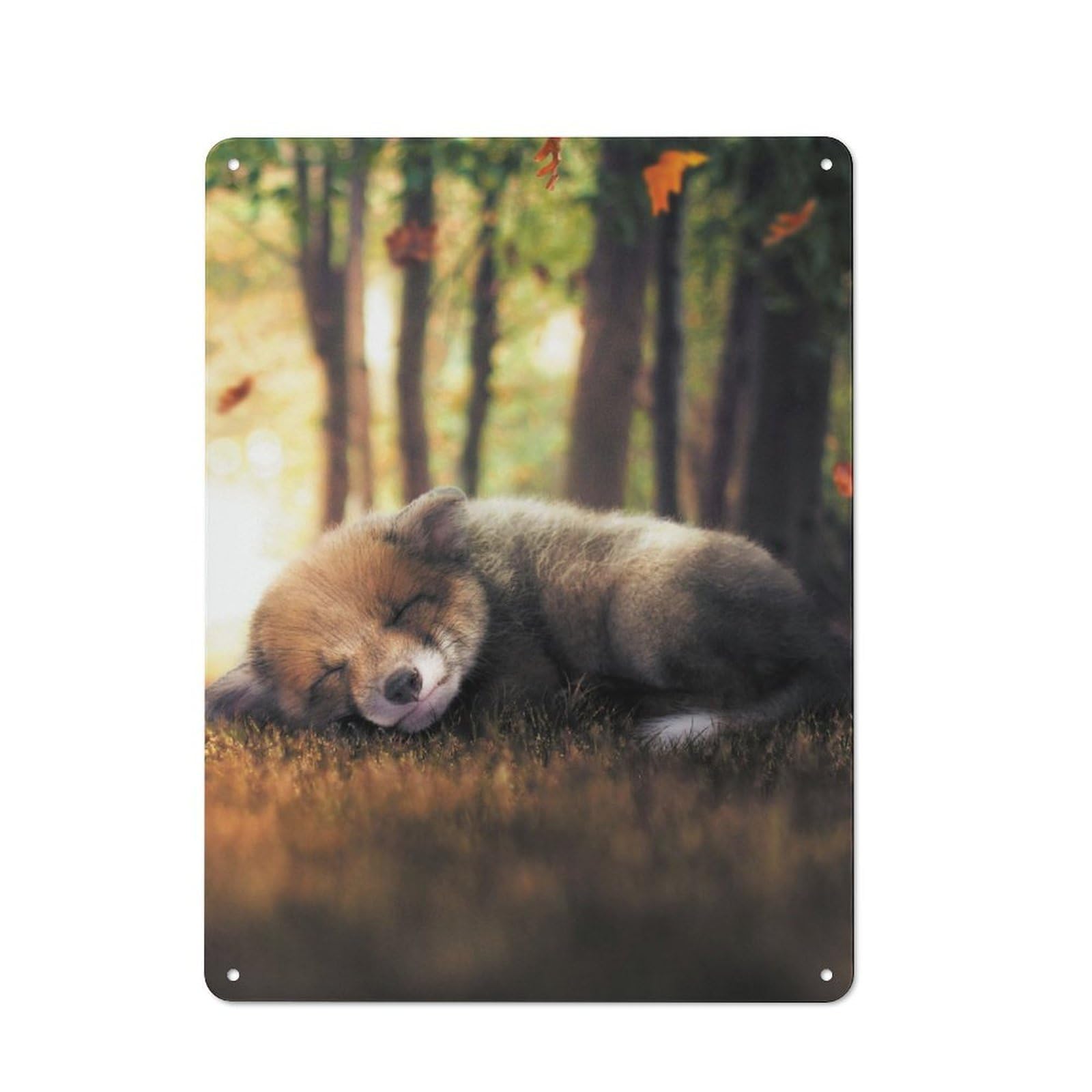 Junmoney The Sleeping Fox Cub Vintage Metal Plaque 40X30cm, Diner Style Decor For Coffee Bar, Kitchen, Bistro Or Tea Corner
