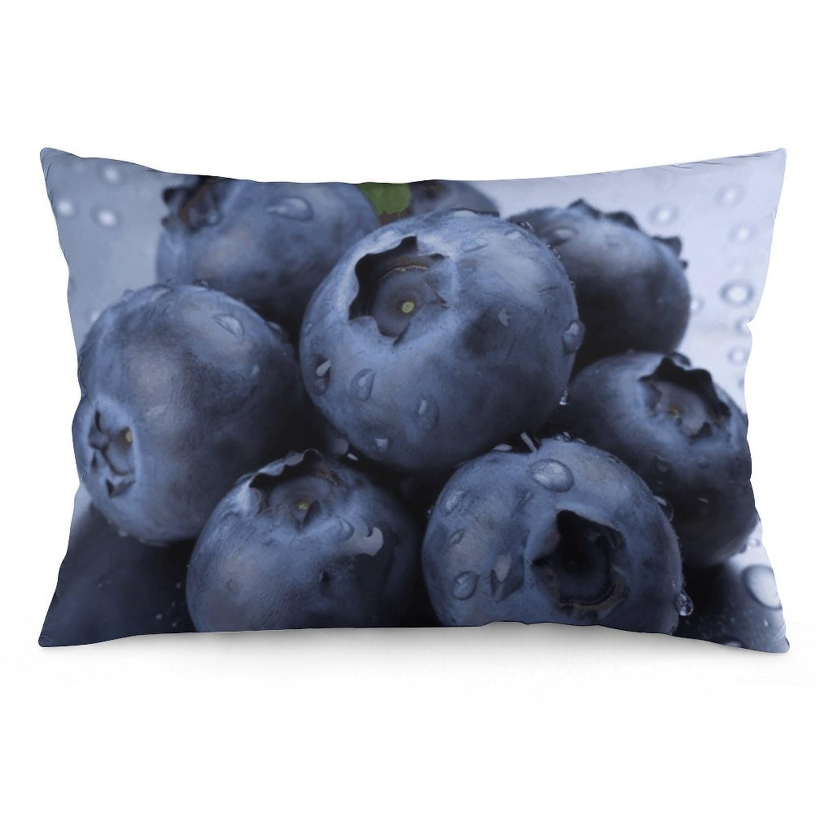 NTVOWPZO 2 Pack Decoration Throw Pillow Covers 20"x30" Pillowcases Covers Blueberry Pillowcases Modern Farmhouse Home Decor Sofa Cushions Covers for Couch Bed Living Room