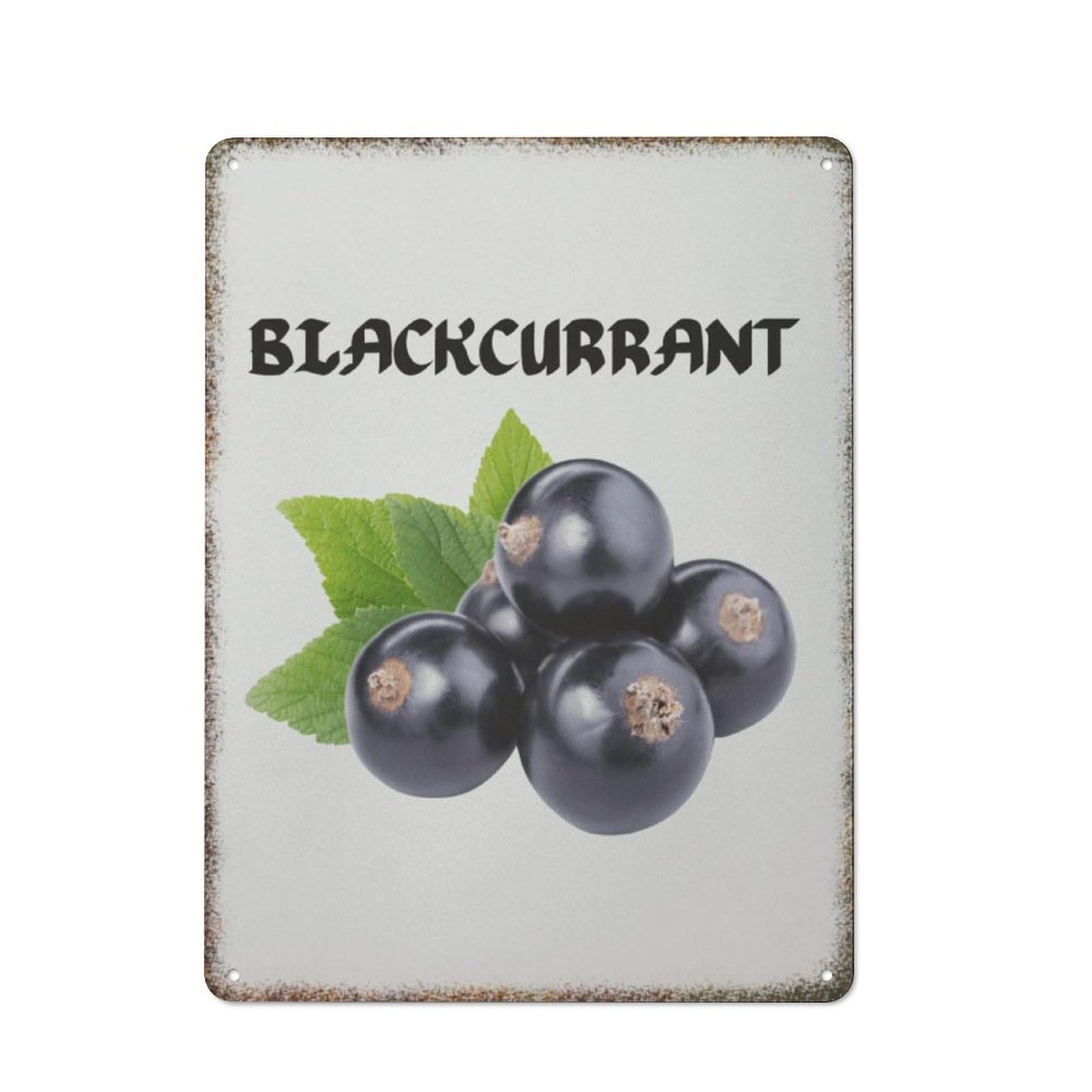 Blackcurrant Fruit Kitchen Nursery Kids Room Retro Metal Wall Decor Sign 8x12 inch