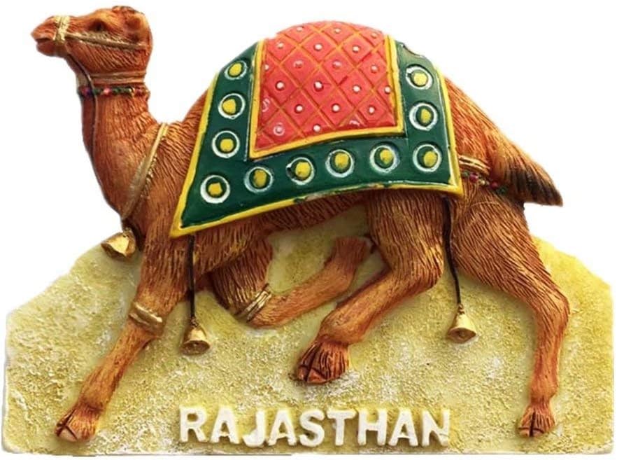 Camel Festival Rajasthan India Fridge Funny 3D