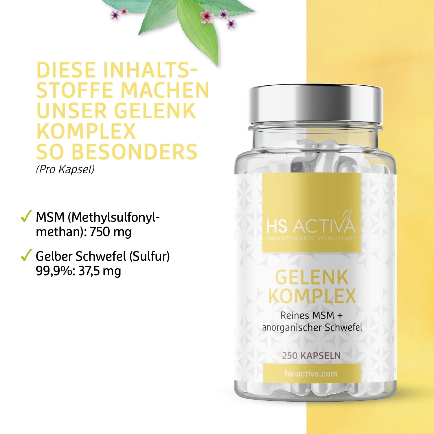 HS Activa Gelenk Komplex 250 MSM Kapseln hochdosiert, Methylsulfonylmethan
