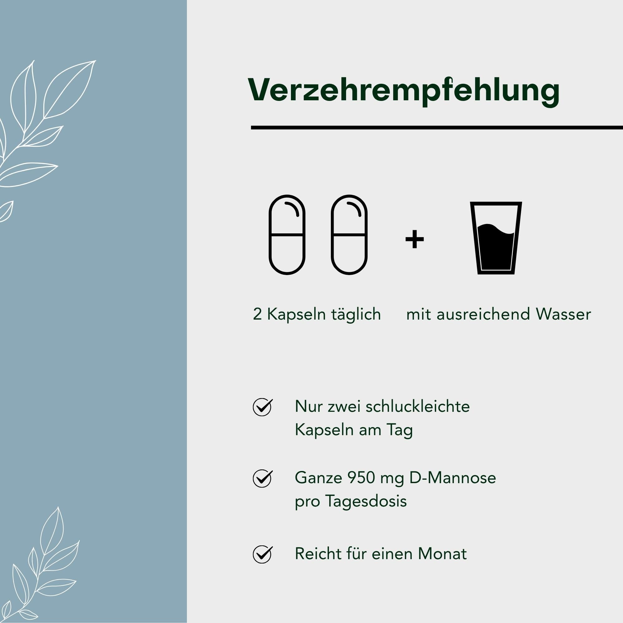 Fermentura BlasenVital, D-Mannose Cranberry-Extrakt für Blasenentzündungen | Natürliche Unterstützung bei Blasen- & Harnwegsproblemen | 60 Kapseln, 1er-Pack | Vegan