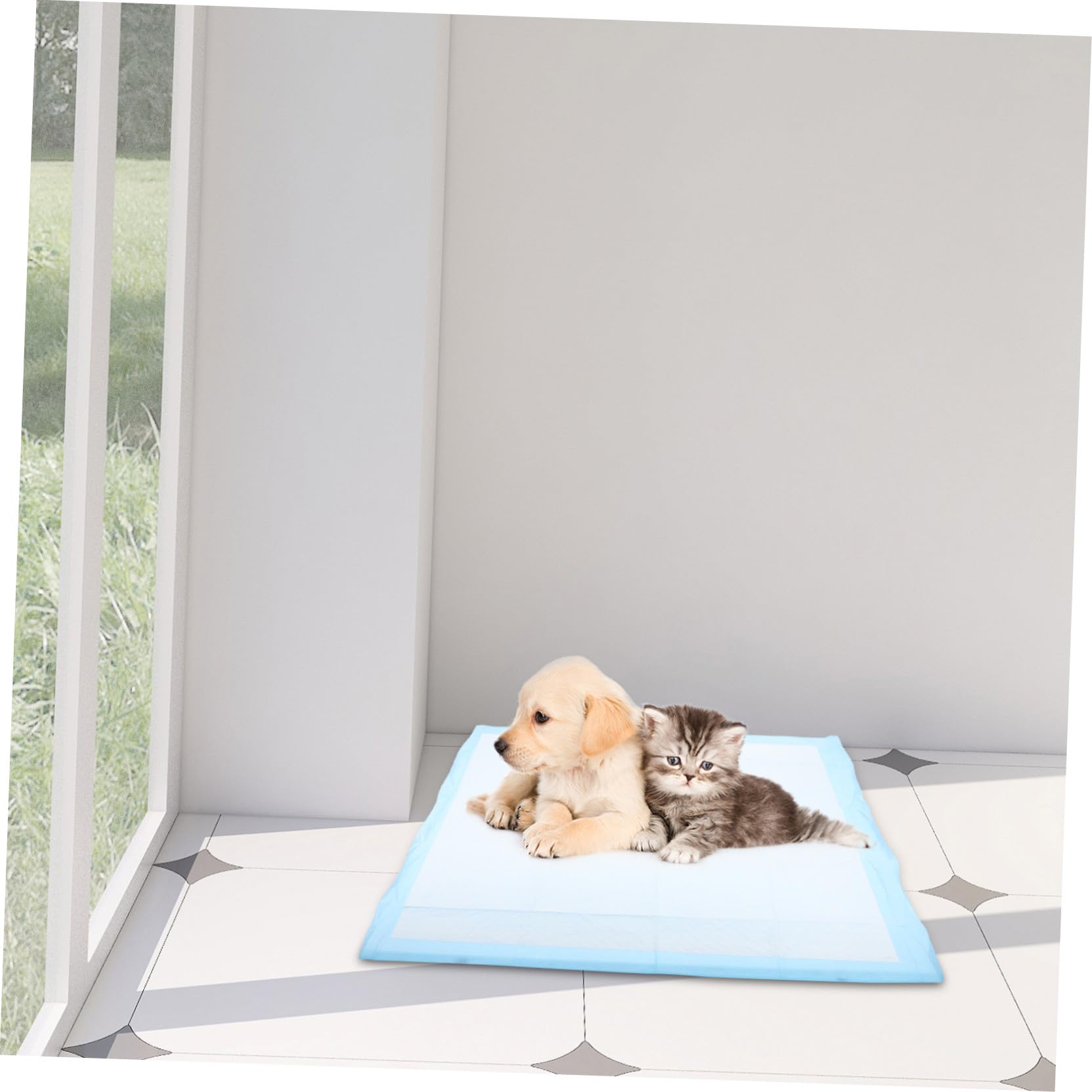 Alèse 60x60 L Absorbante D’apprentissage Chiots Super pour Cm Taille