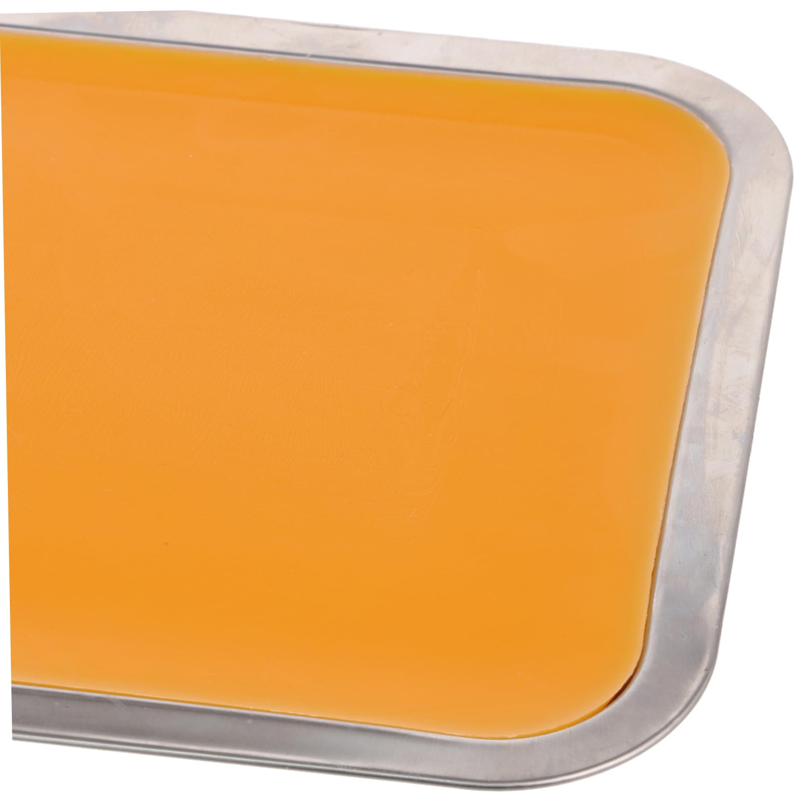 PRETYZOOM Plateau Acier Inoxydable pour Laboratoire avec Cire Utilisation pour Dissection Anatomique