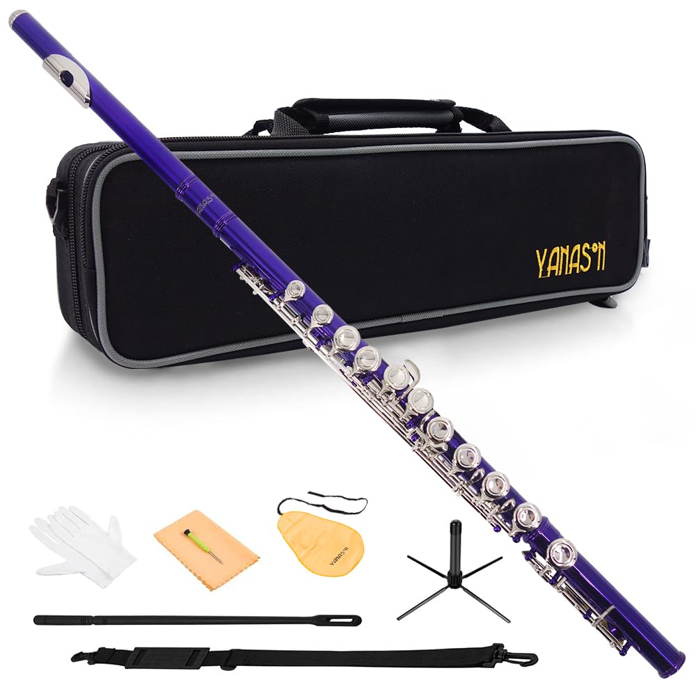 Purple C Flute Closed Hole 16 Keys Flute Nickel-Plated for Beginner Student and Professionals with Carrying case Metal
