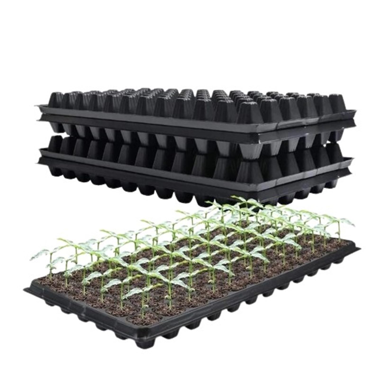 Lot de 5 plateaux de démarrage pour semis de plantes avec 72 cellules Idéal pour la germination des graines et les pots de fleurs (72 trous)