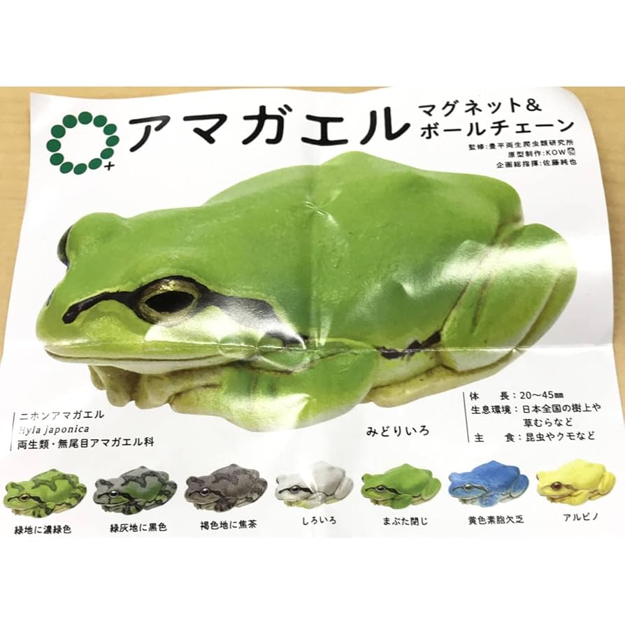 バカラ　緑カエル　超美品 2814265_grey_001.jpg?sw=696&q=90