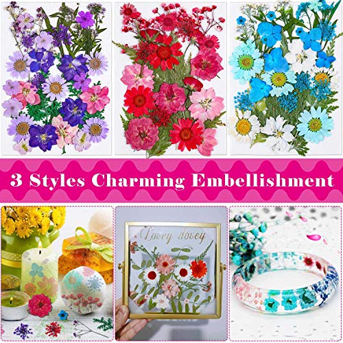 Thrilez 100Pcs Pressed Dried Flowers For Resin Molds, Natural Dried Flower Herbs Kit For Scrapbooking Supplies Card Making Supplies Resin Jewelry Making Soap And Candle Making(Blue, Purple, Red) #TOP4