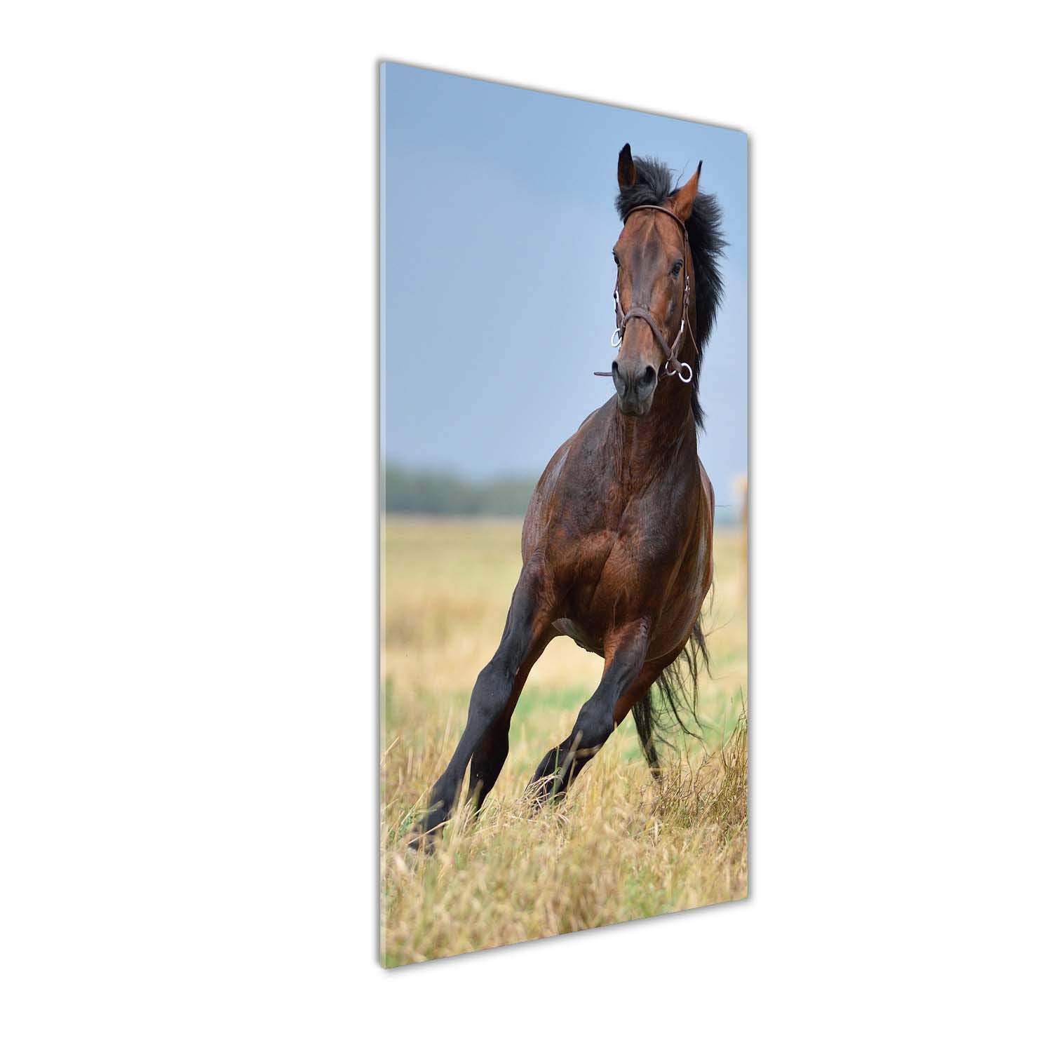Image sur verre de cheval brun Tulup pour créer une ambiance nature dans votre bureau