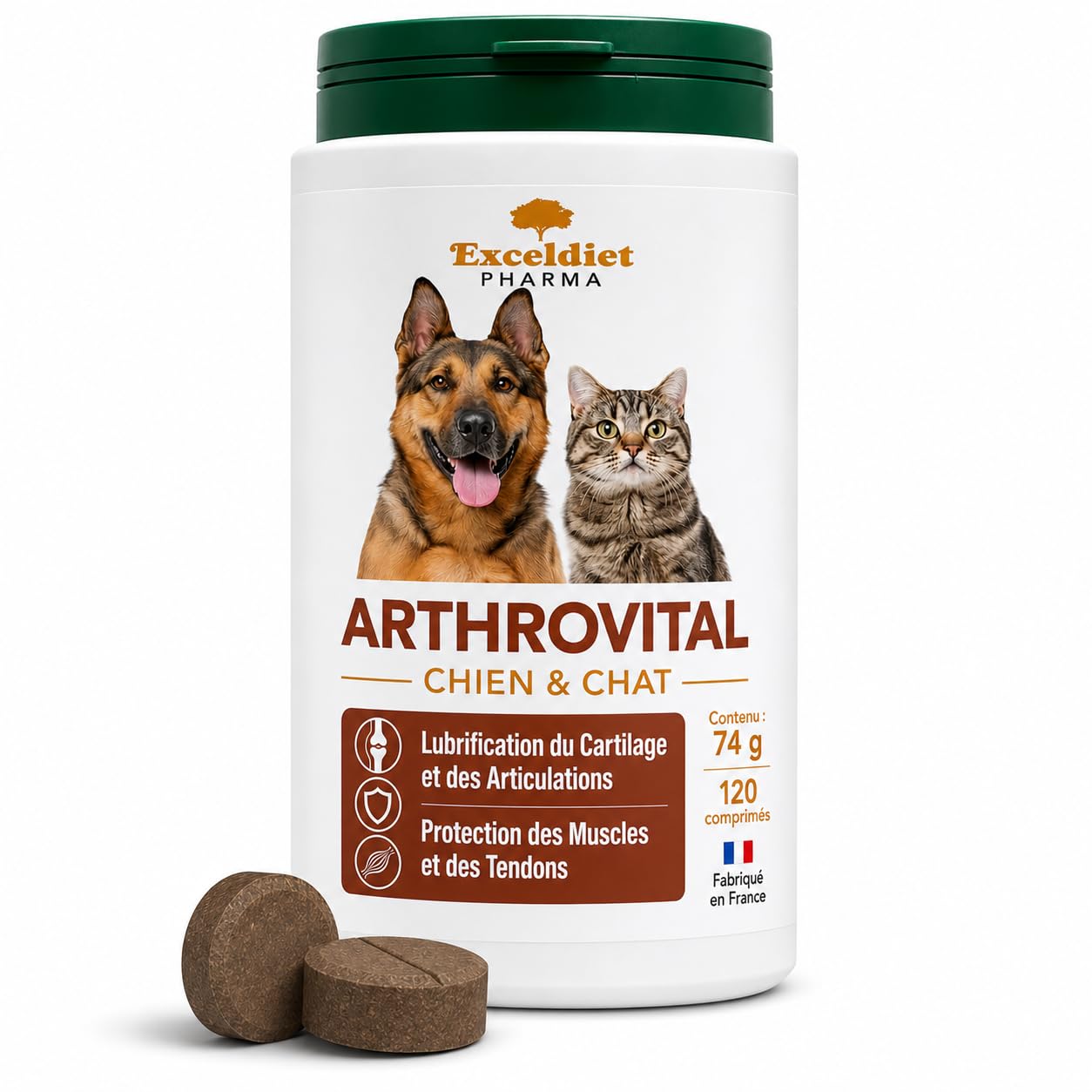 Soulager l'arthrose du chien avec ARTHROVITAL confort des articulations
