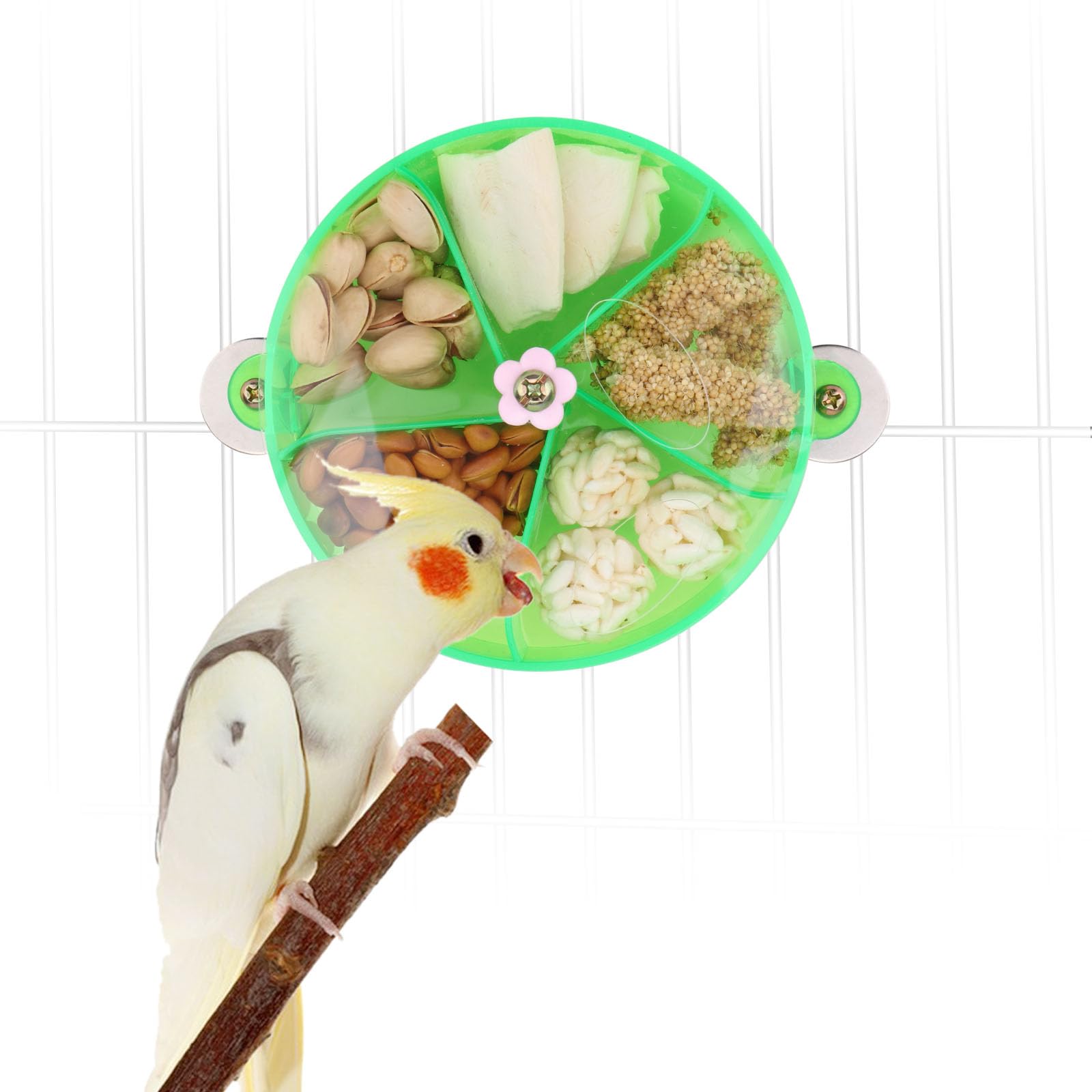 Bird Creative Foraging System Wheel Seed Food Ball Rotate Training Toy for Small and Medium Parrots Parakeet Cockatiel Conure (Green)