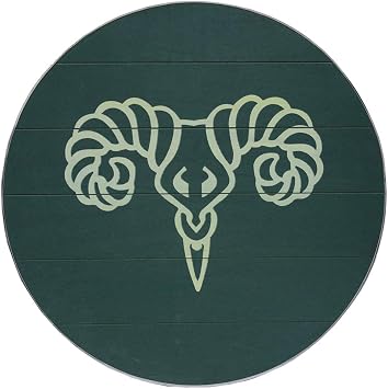 Elder Scrolls Skyrim Markarth Shield Reach Replica Wooden 23 Inches Aluminum Rim Green Wall Hanger