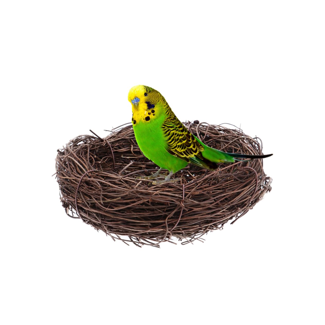 Housoutil Bird Breeding Birds Nest Rattan Birds Fake Birds Warm Pet Bed Birds Hatching Nest Egg Decorating Bird Decor Bird Nest Mini Bird House Pigeon Egg Nest Winter Bamboo