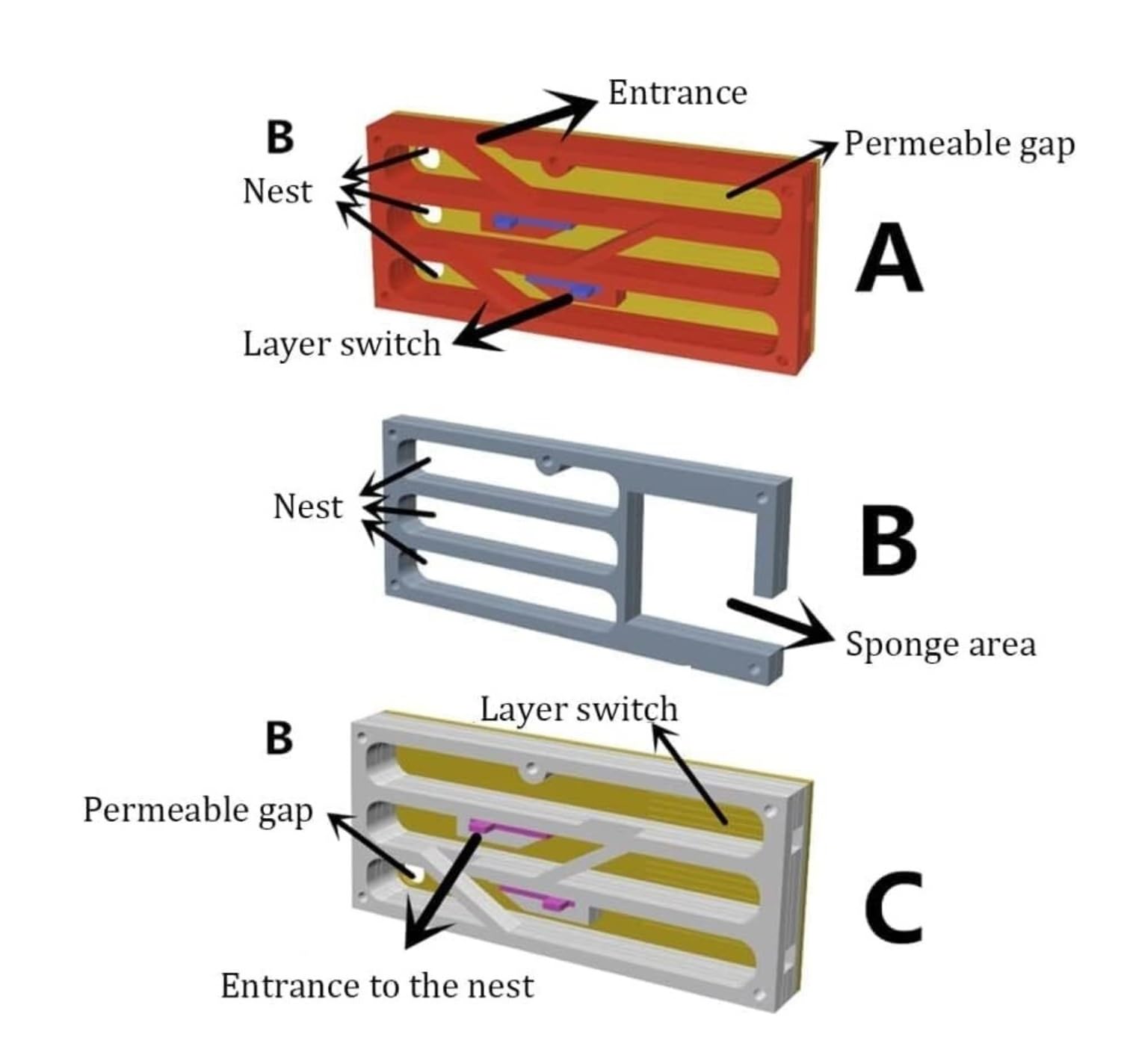 Nido di formicaio Castello in acrilico Osservazione scientifica Fai da te Laboratorio formica Casa(Rosso)