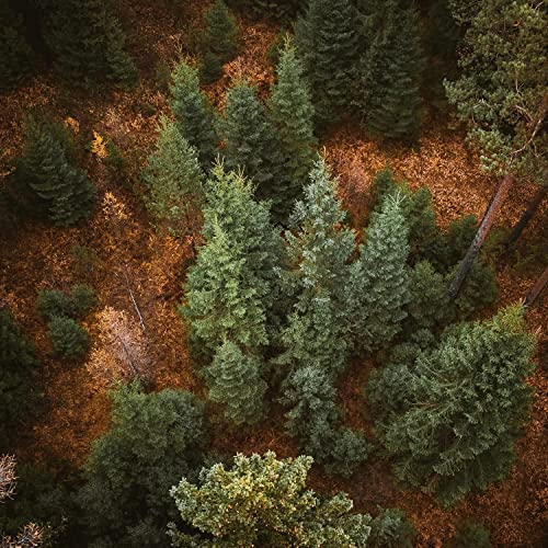 Ruido Branco Para Bebes