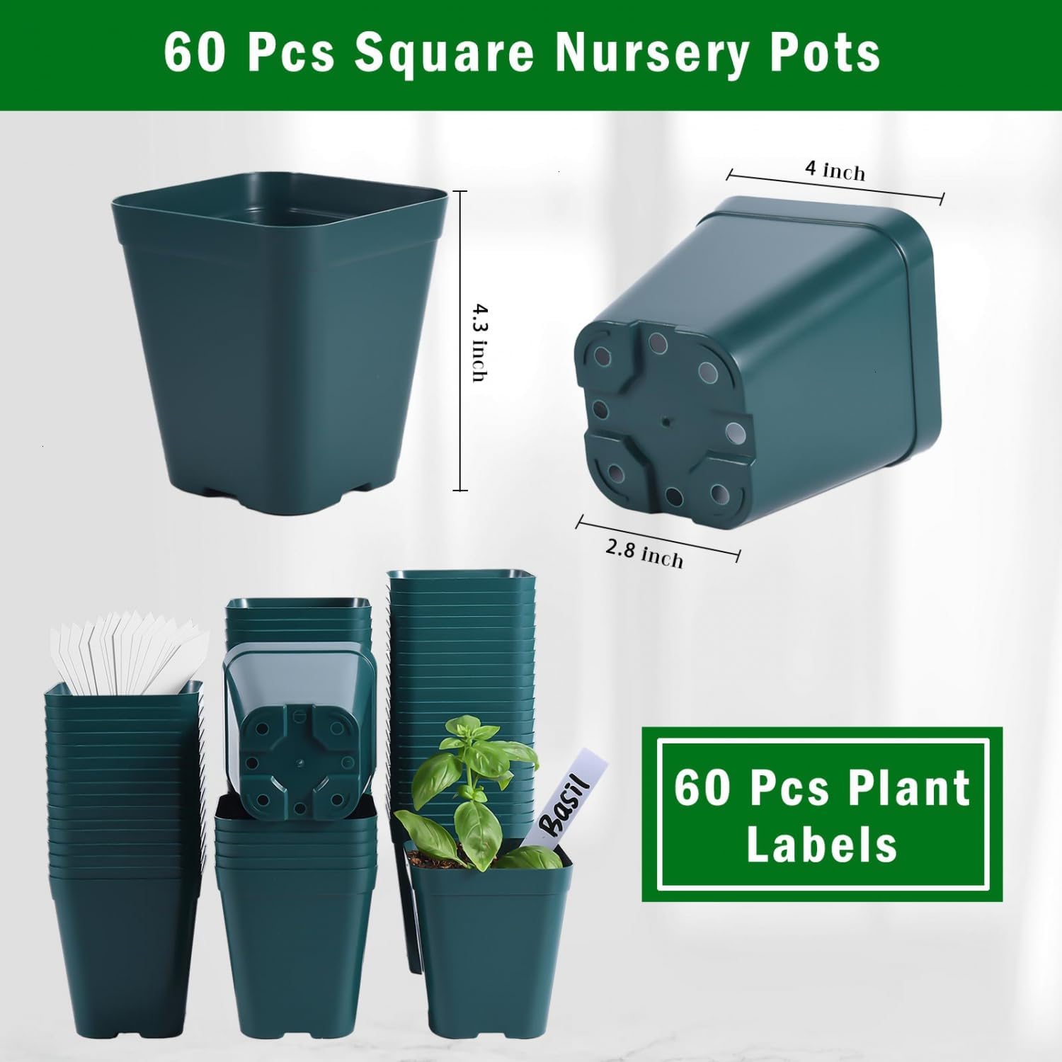 June Fox Plastic Seedling Pots, 60 Pack Square Nursery Pots 4 Inch, Small Plant Pots with Drainage Holes for Seedlings, Succulents, Cuttings (Green) - Image 2
