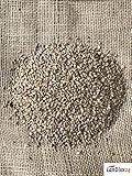 Eigenmarke von LanDixx24 Weizen Landweizen 25kg Ernte 2019