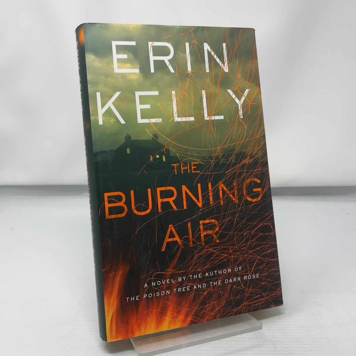 Buy The Burning Air: A Novel โ BookShops.in