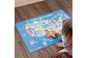 United States State Magnets Fit Together